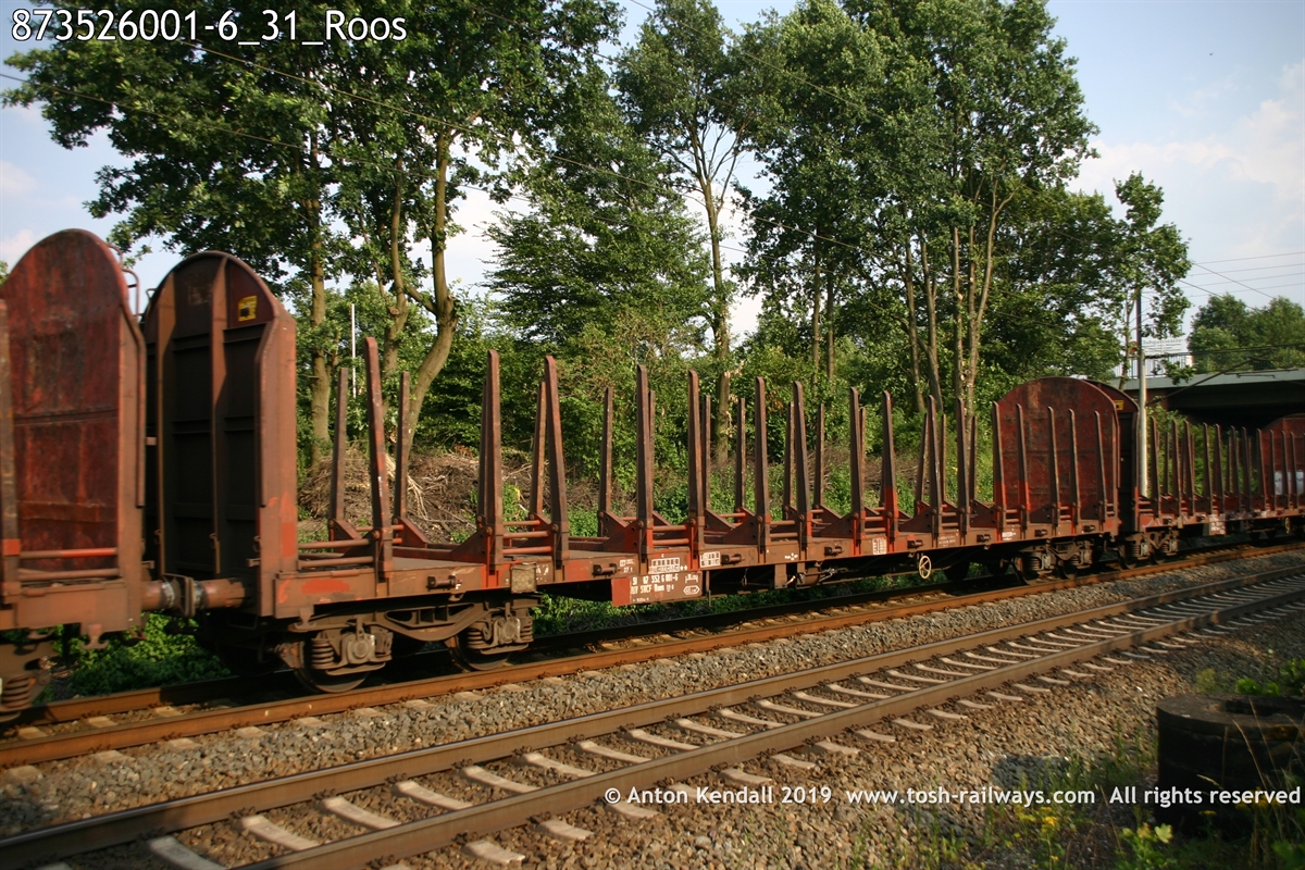 873526001-6_31_Roos.jpg